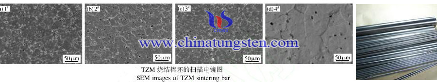 TZM alloy TZM alloy
