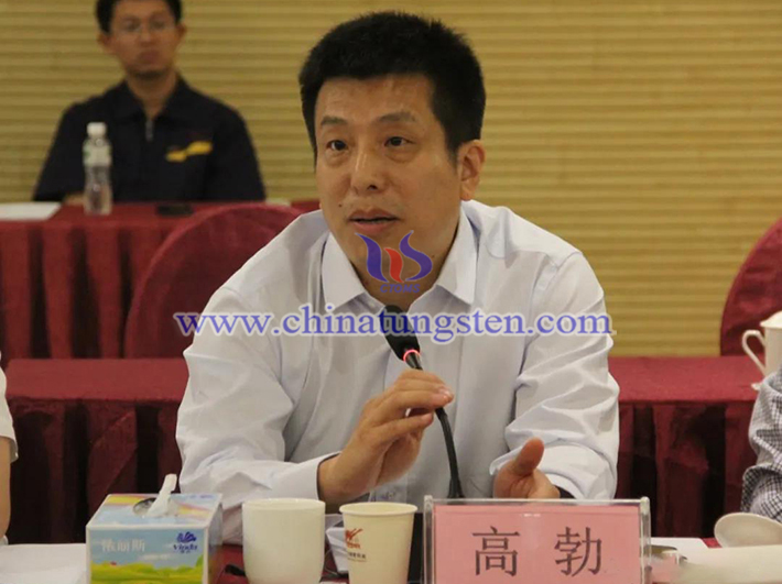 中國(guó)鎢業(yè)協(xié)會(huì)主席團(tuán)主席、中鎢高新材料股份有限公司副總經(jīng)理高勃