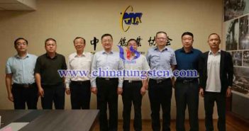 葛紅林書記一行到鎢協調研指導工作圖片