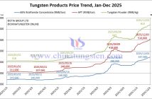 Tungsten Price Trend from January to December 3, 2025