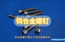 鎢合金螺釘圖片